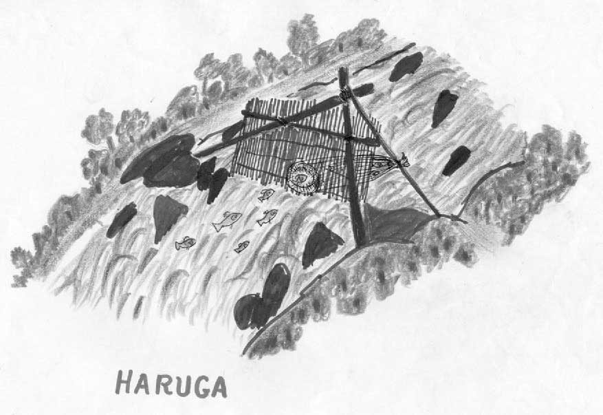 Manejo dos rios. Produção da Escola Tuyuka. Desenho: Higino Meira, 2000. Manejo dos rios. Produção da Escola Tuyuka. Desenho: Higino Meira, 2000.
